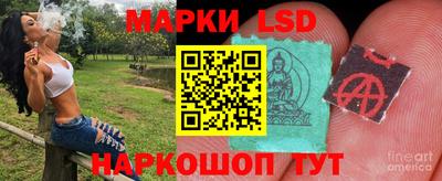 ПСИЛОЦИБИНОВЫЕ ГРИБЫ Камышлов